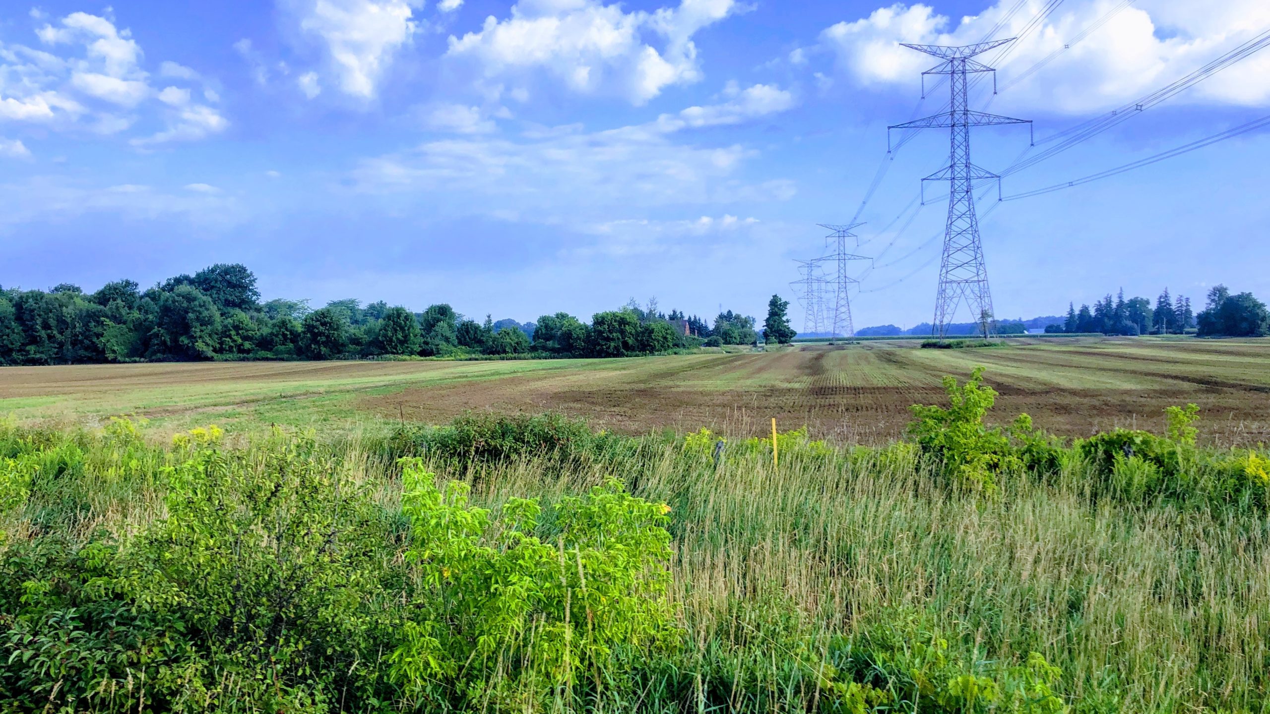 Hamilton Brantford rail trail just outside Dundas