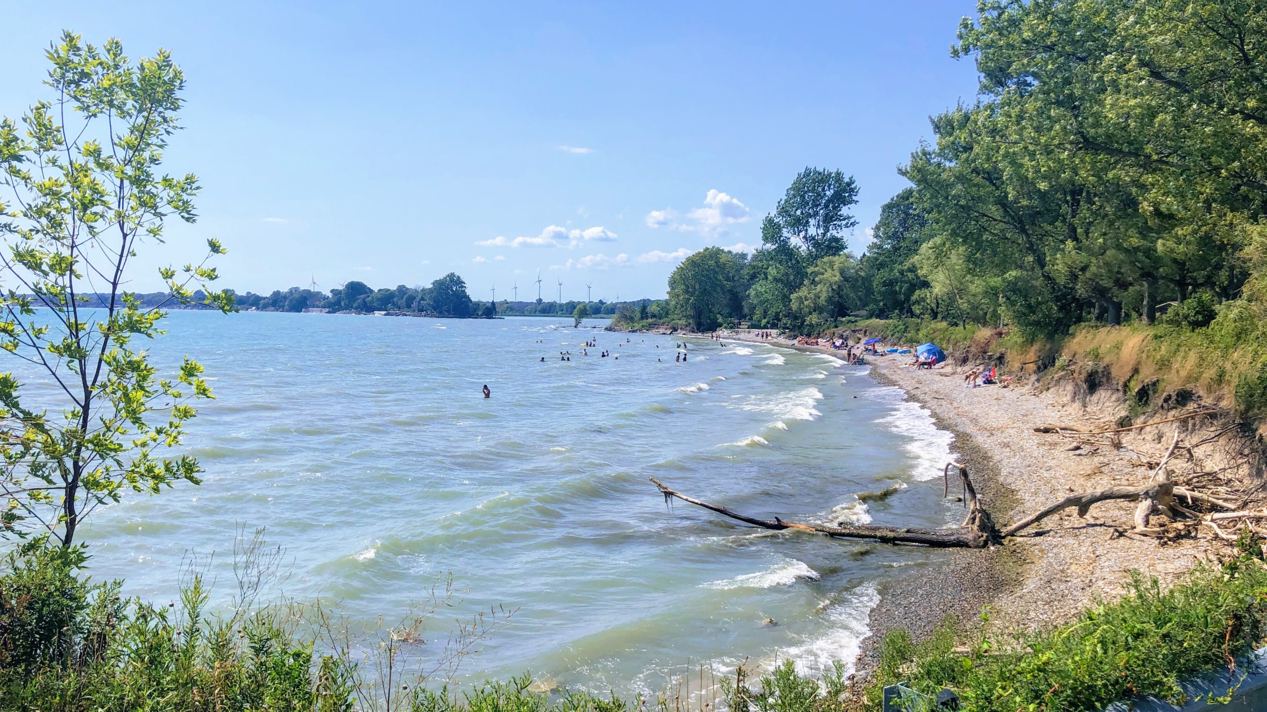 Selkirk Provincial Park Beach View