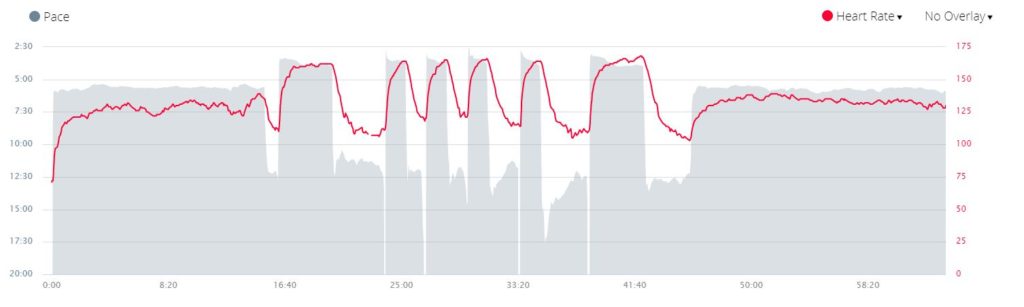 HRM Data for a Pure Speed Workout