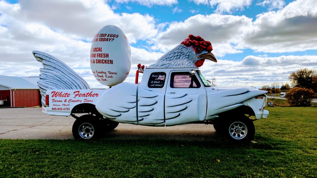 A picture of the truck that looks like a chicken in front of the White Feather store in North Oshawa