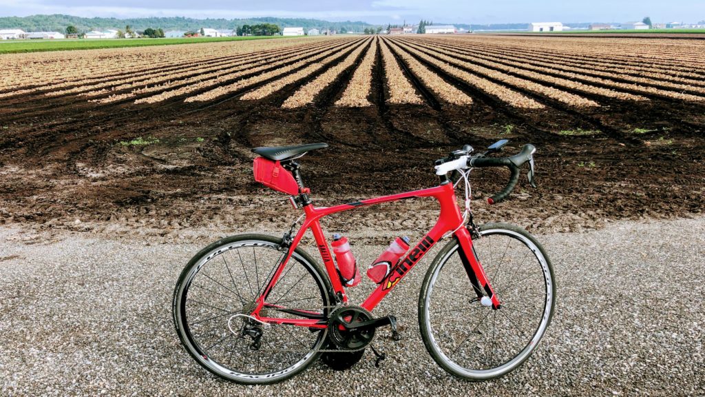My roadbike is placed with the onion fields of Holland Landing in the background.