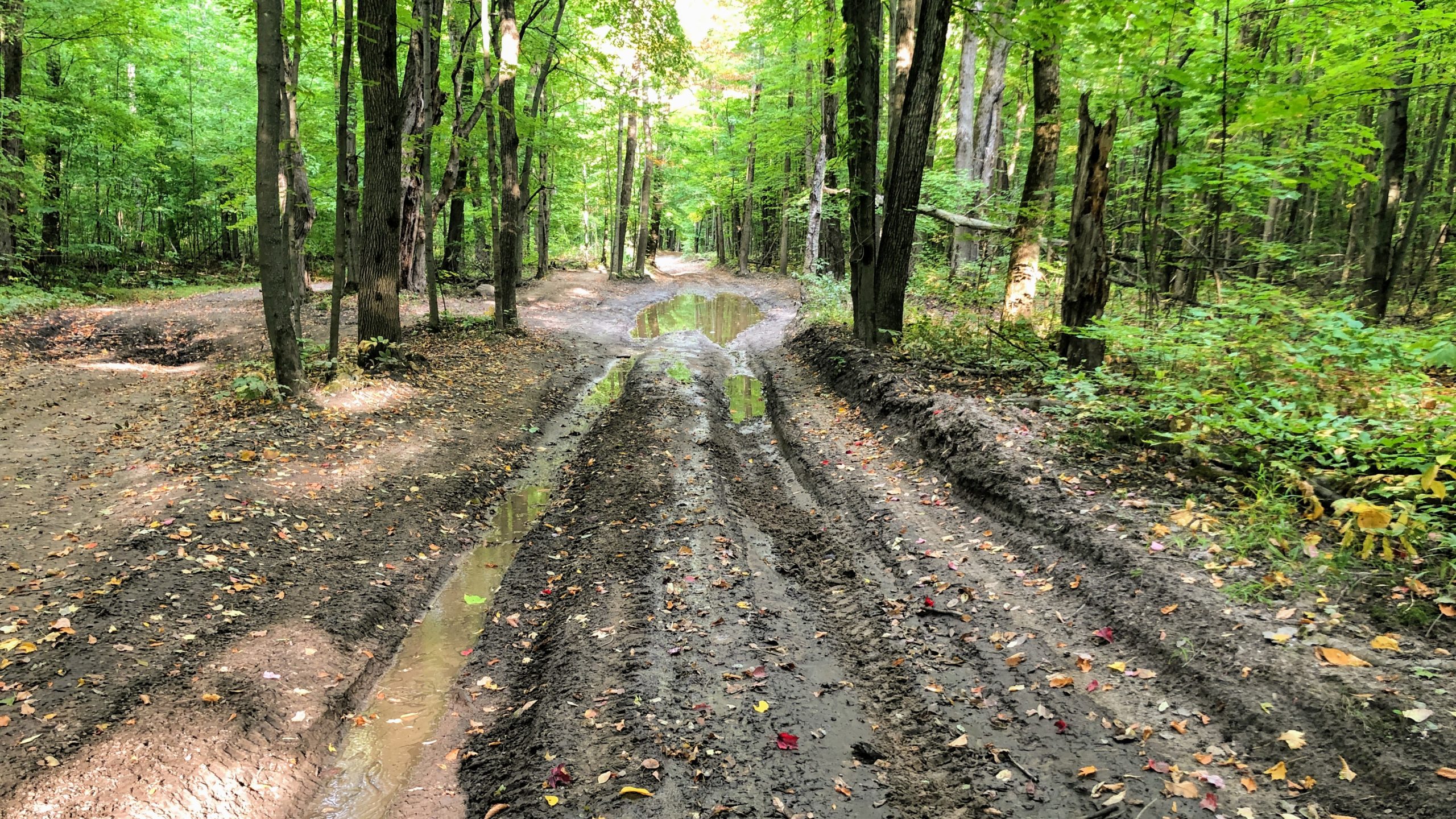 A photo of the ATV Trail called Byers Rd. with deep mud, and deeper tracks.