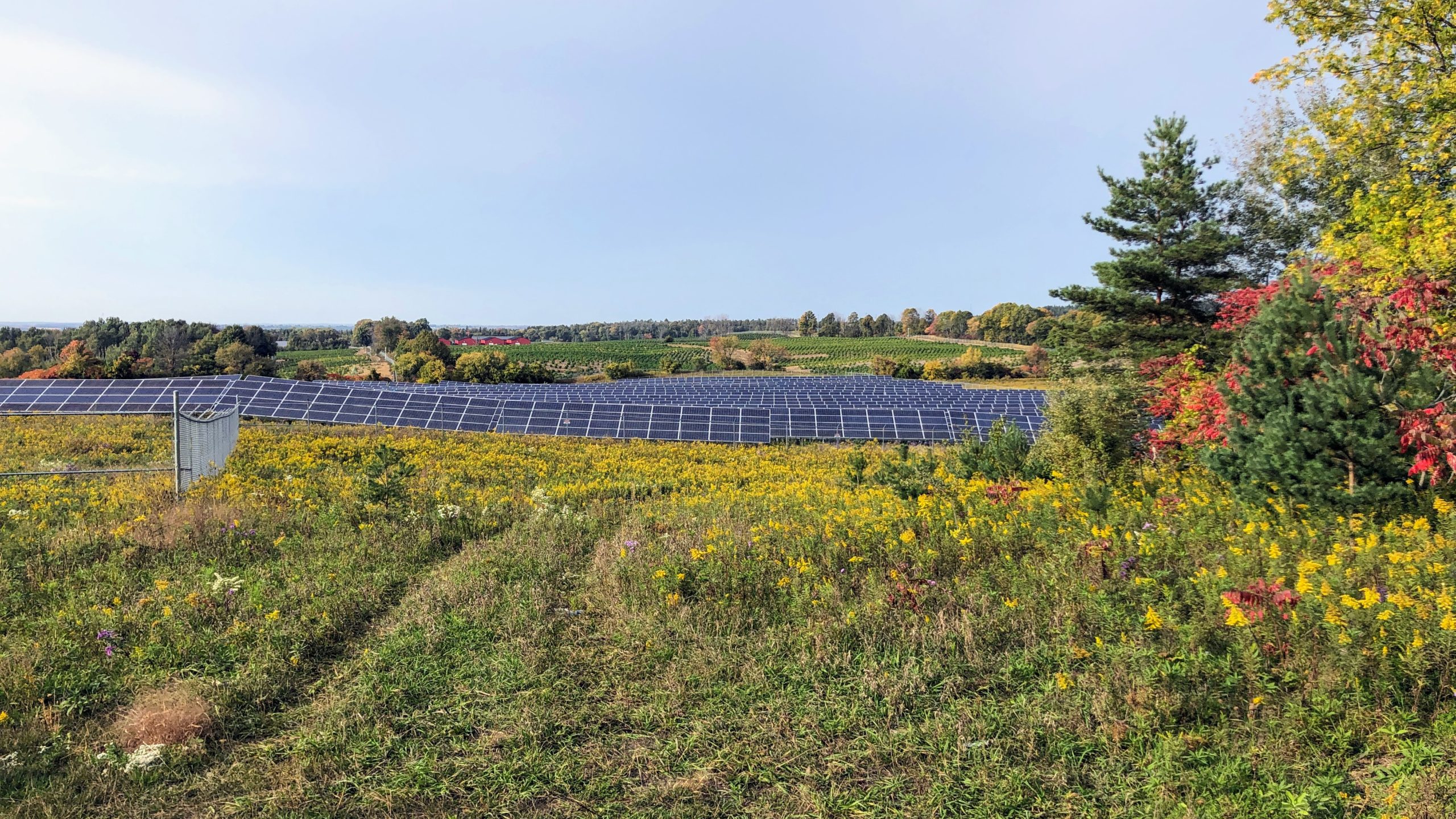 Looking out at a solar and cash crop farms while riding Byers Rd on the Durham Destroyer