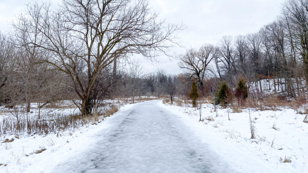 Icy Trail at G. Ross Lord Park.