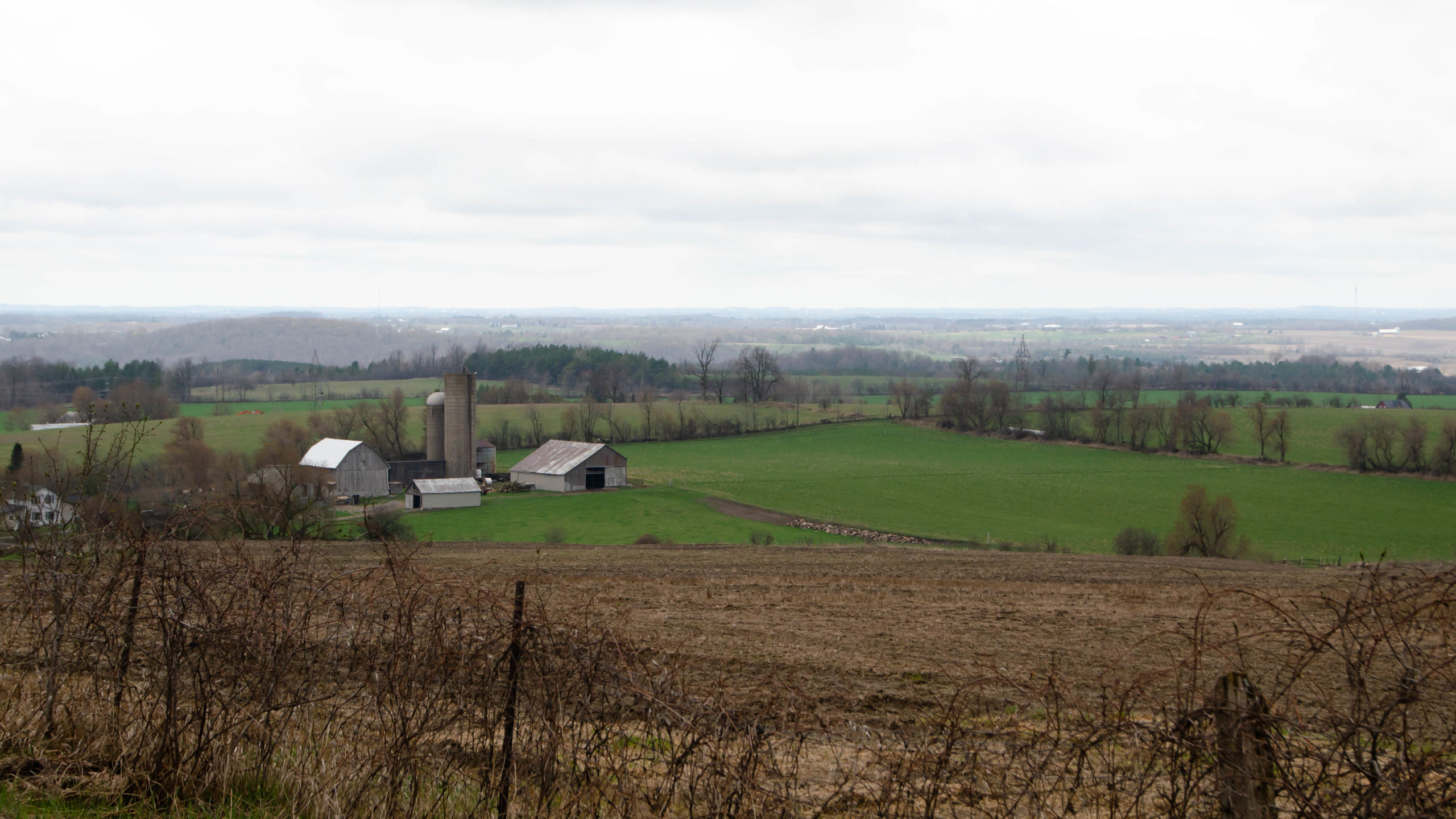 Epic view of lush green country-side from Ballyduff Rd.