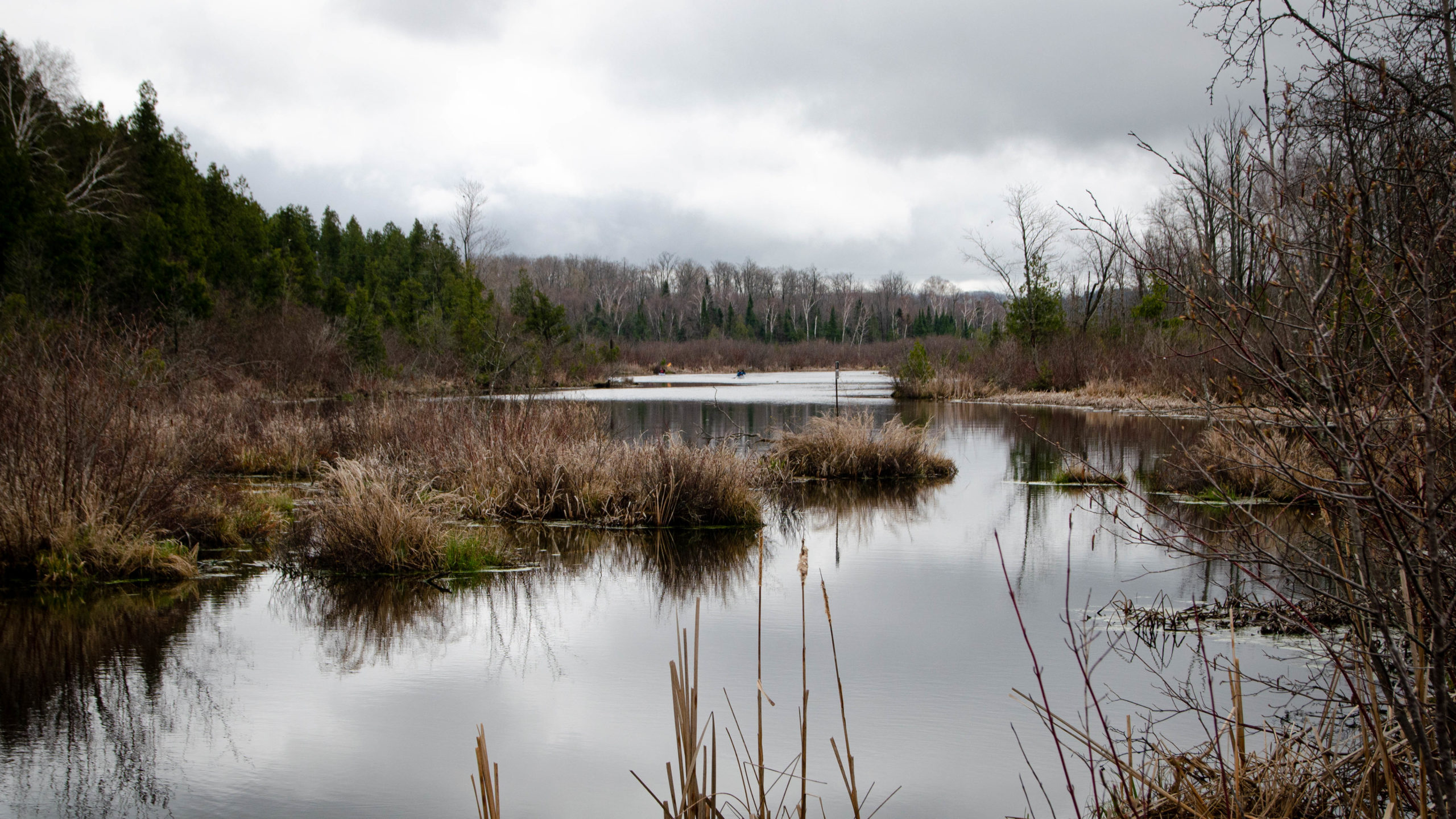 Kayakers paddling Fleetwood Creek, half way between Lindsay and Bethany, off the Victoria Rail Trail.