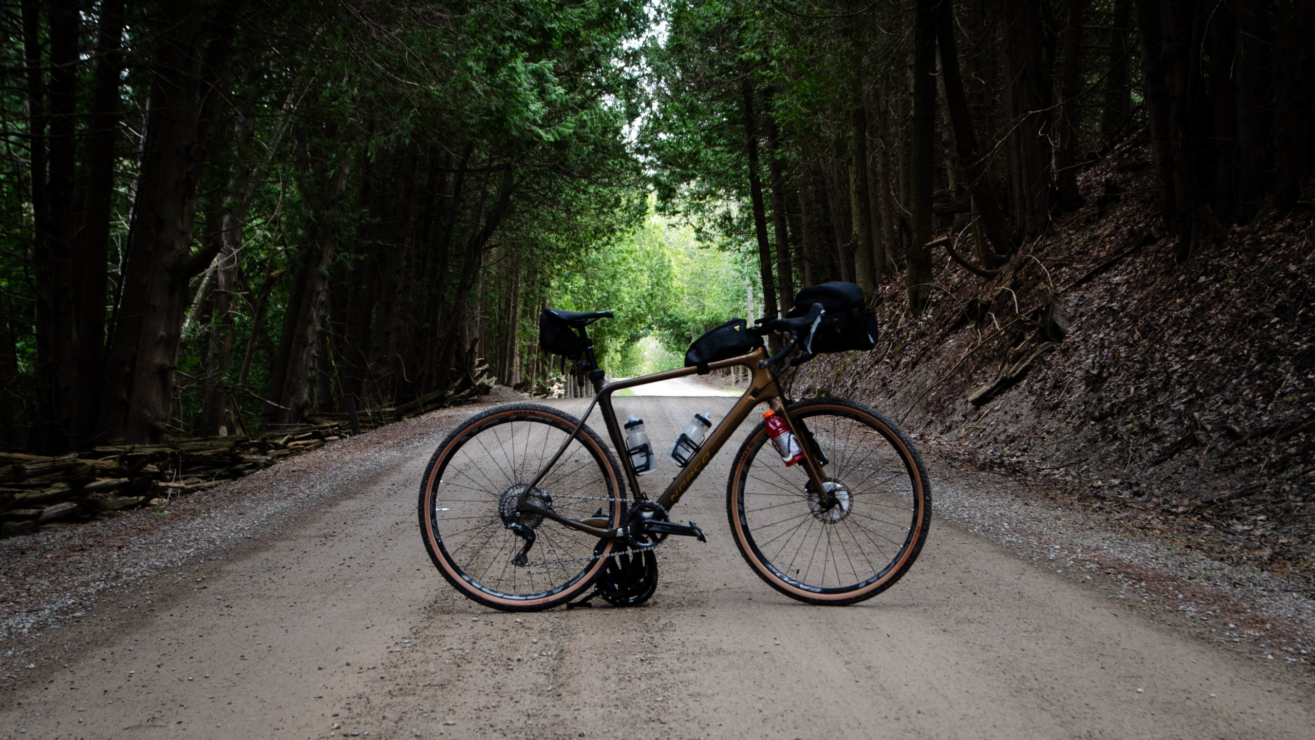 A Picture of My Norco Search in a Tree Tunnel Along 20 Side Road.