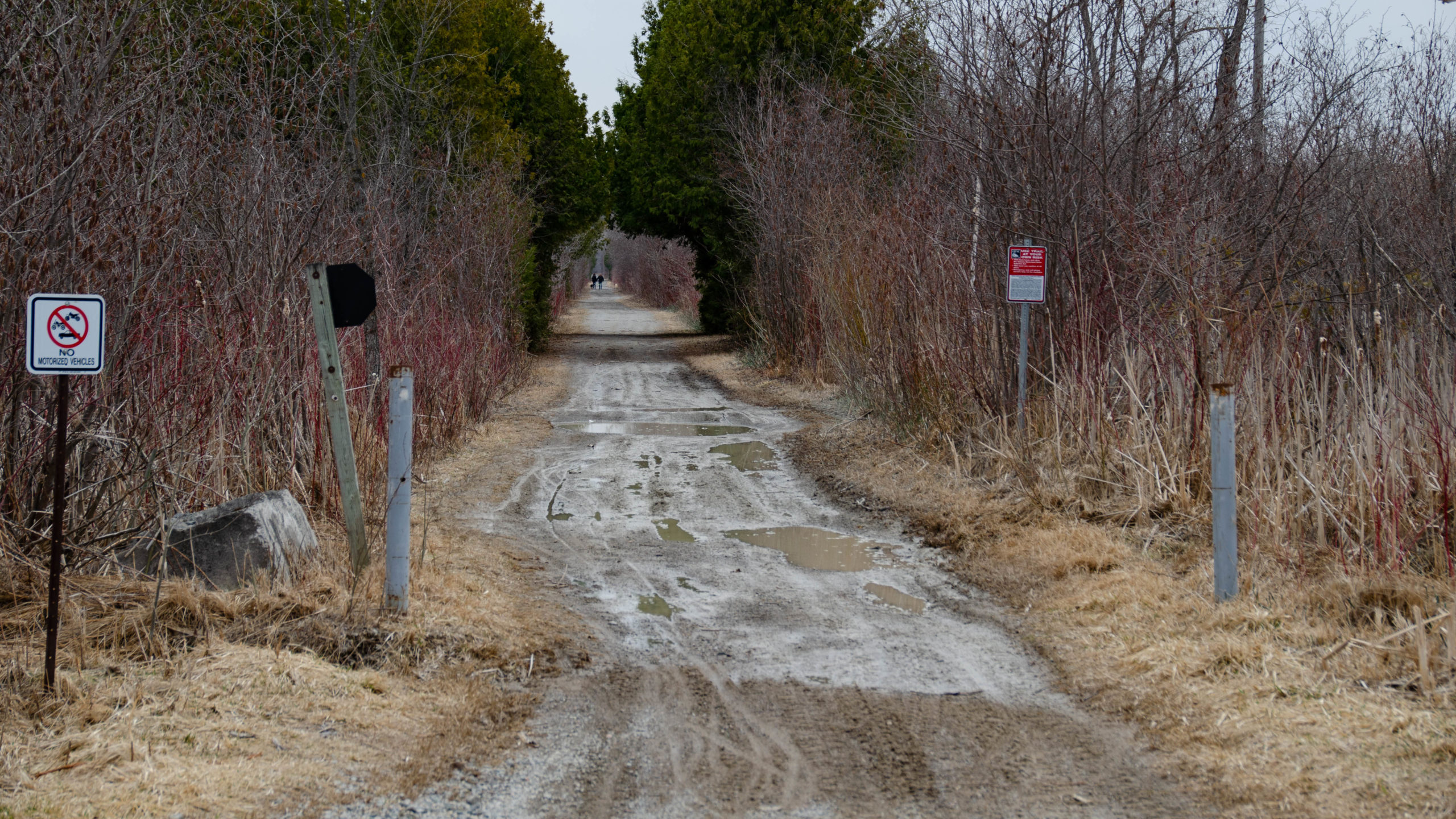 Wet Trail North of Black Stock on the Trans Canada Trail