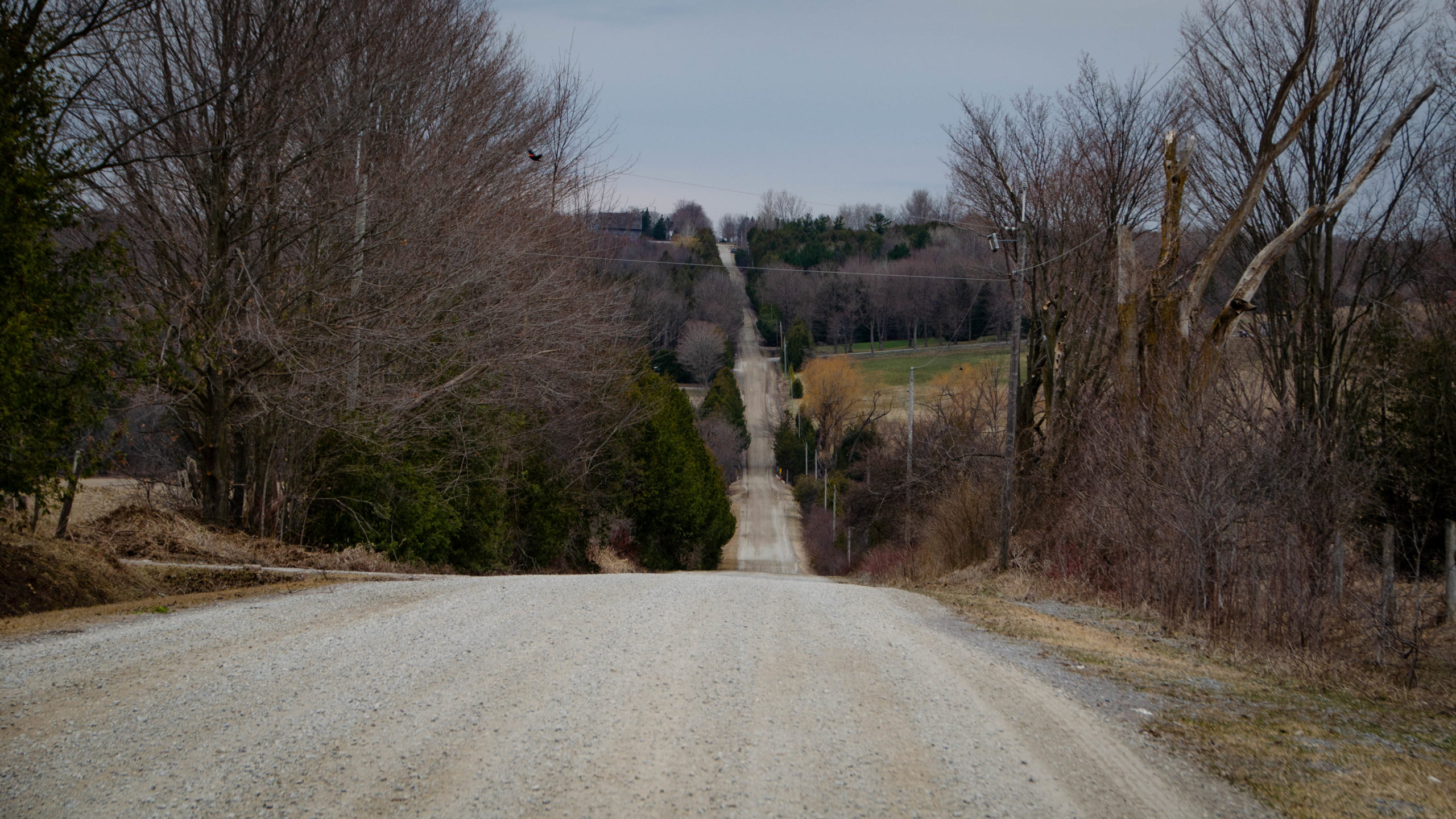 Picture of the last big climb on the Durham Destroyer - The Rookie, Concession Road 2, north of Port Perry.