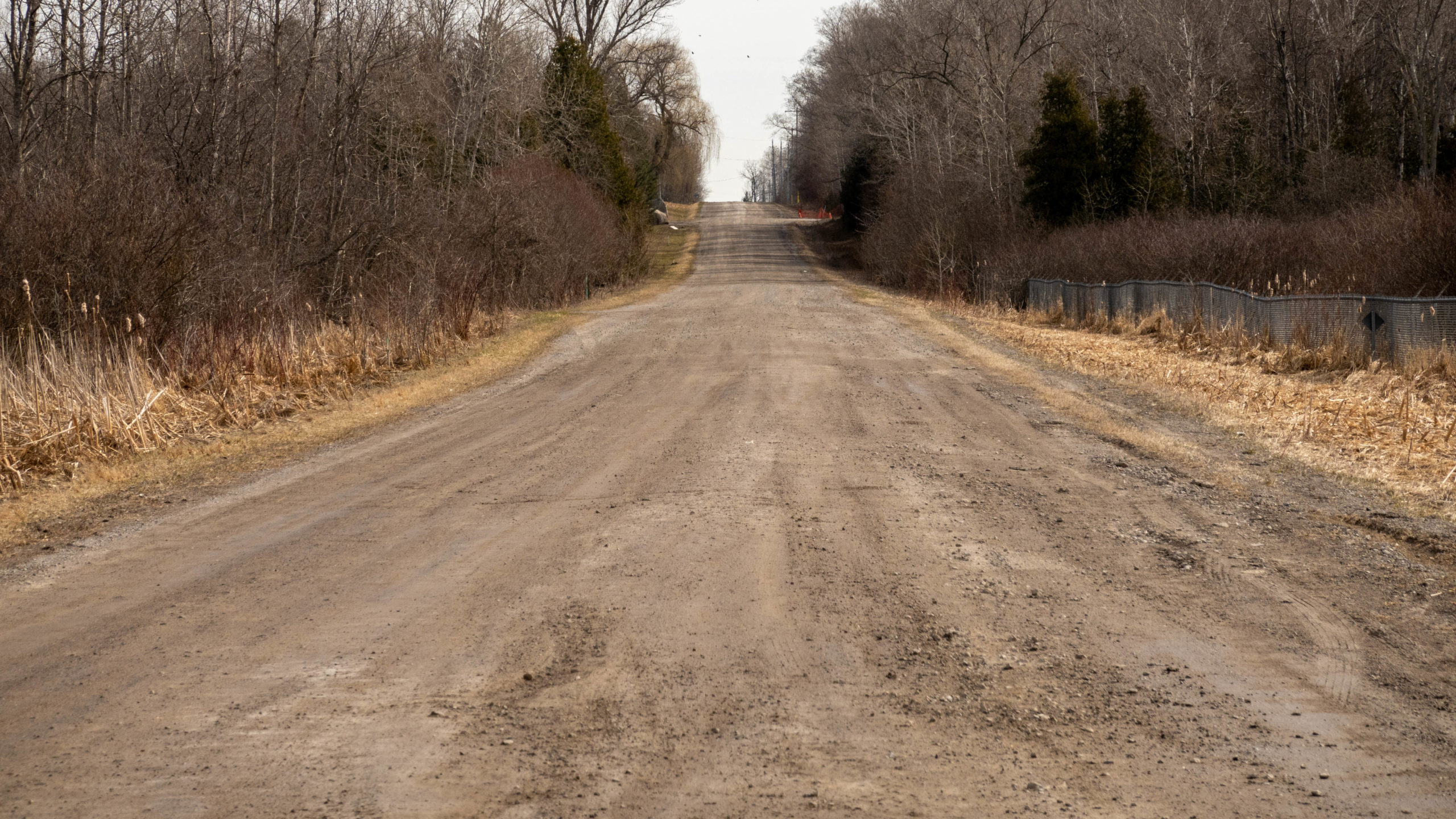 Hill of the fist climb up Scugog Line 8.