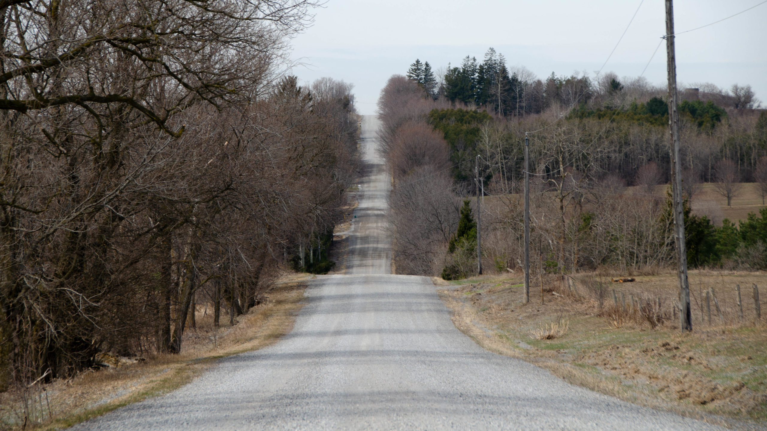 Big climbs on the The Rookie Route, Scugog Line 8 just easy of Hwy 7.