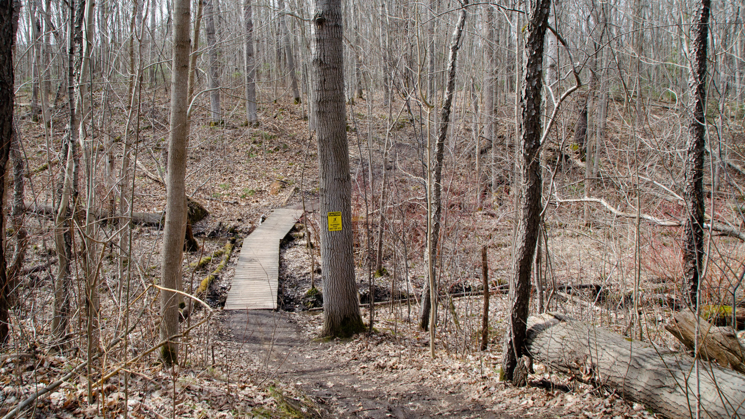 photo of a bridge crossing on the uxbridge town trails.
