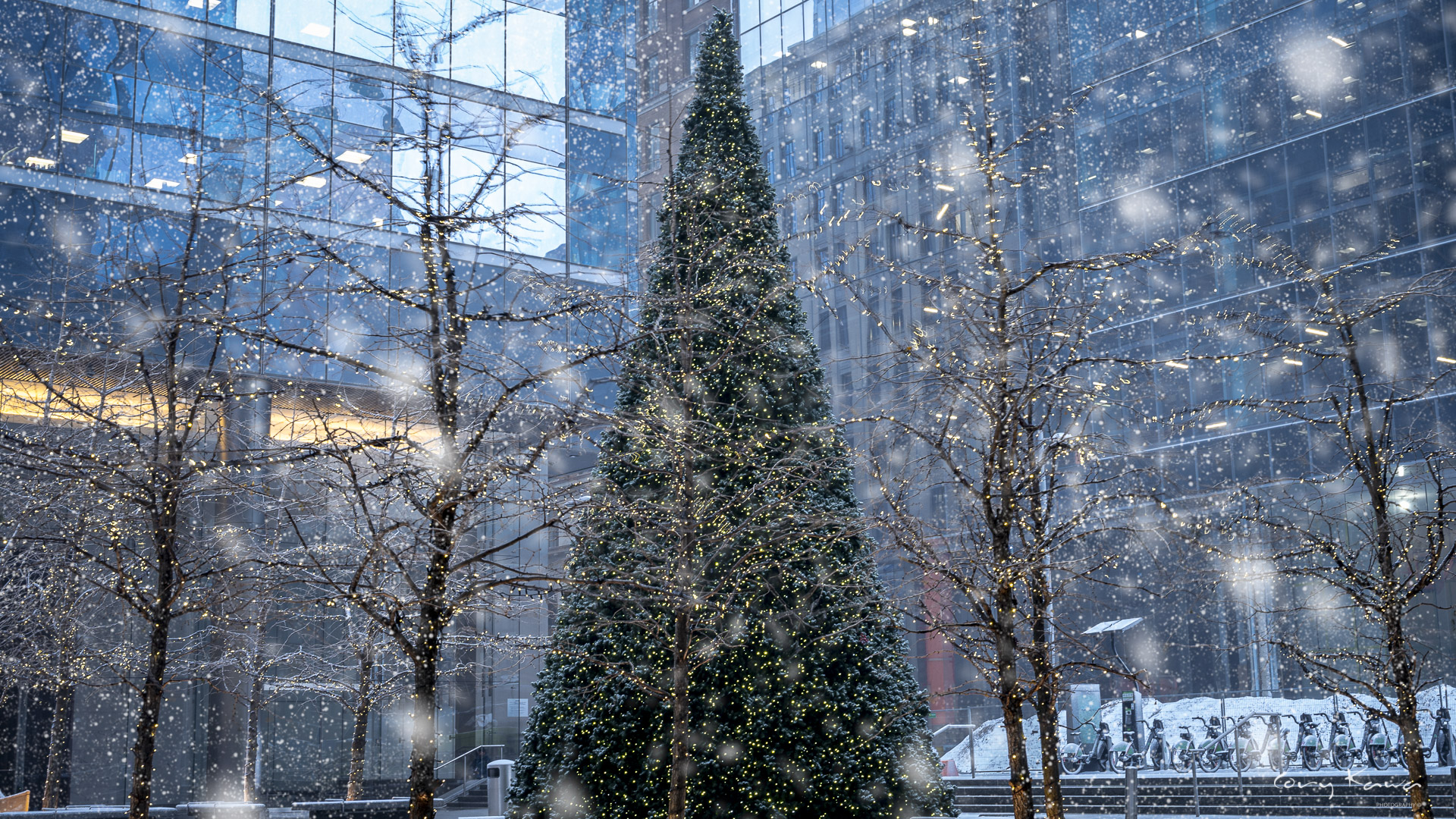 Christmas Tree on a Snowy Day