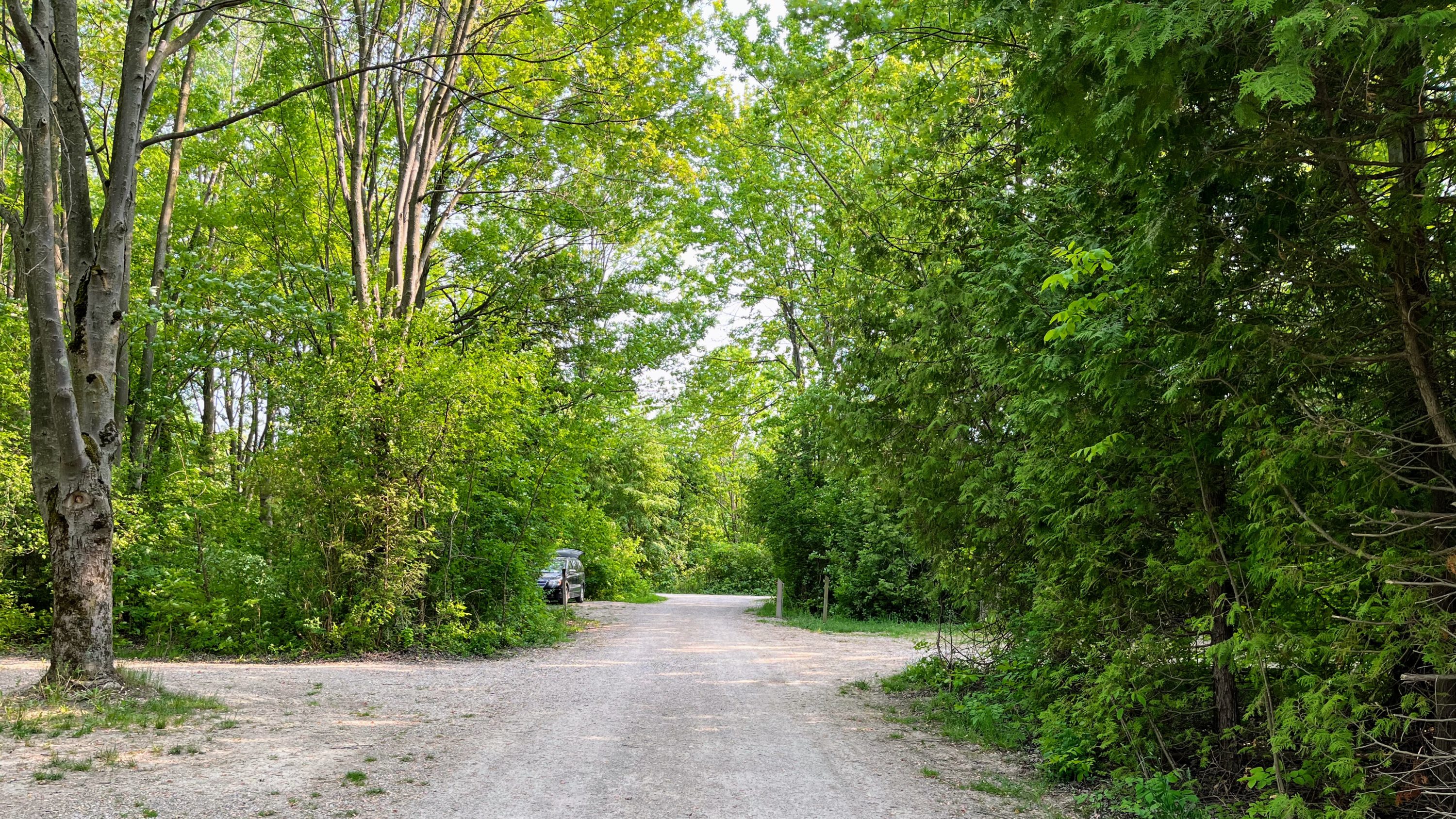 picture of a site access road in point farms provincial park