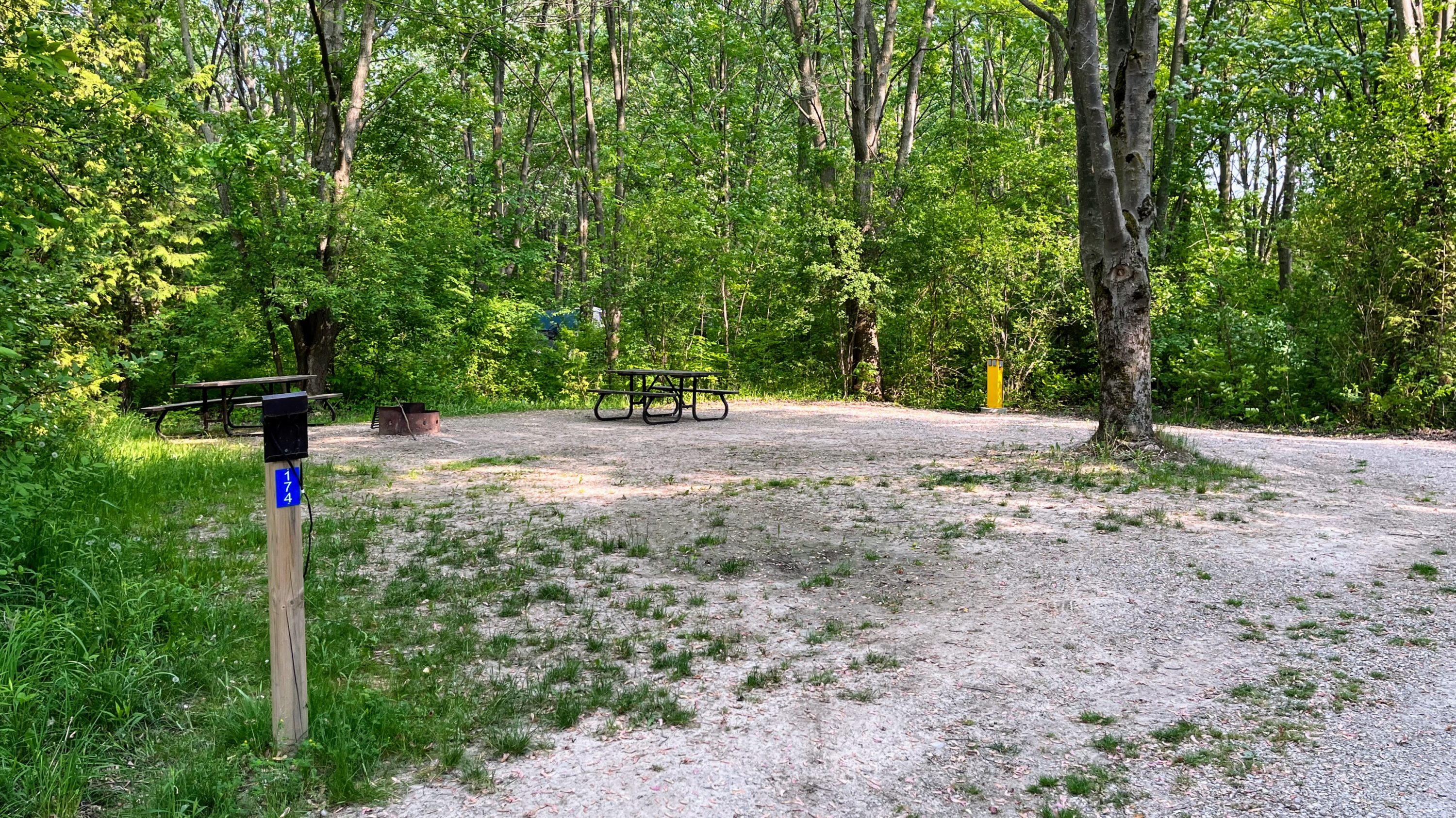 picture of a campsite at point farms provincial park