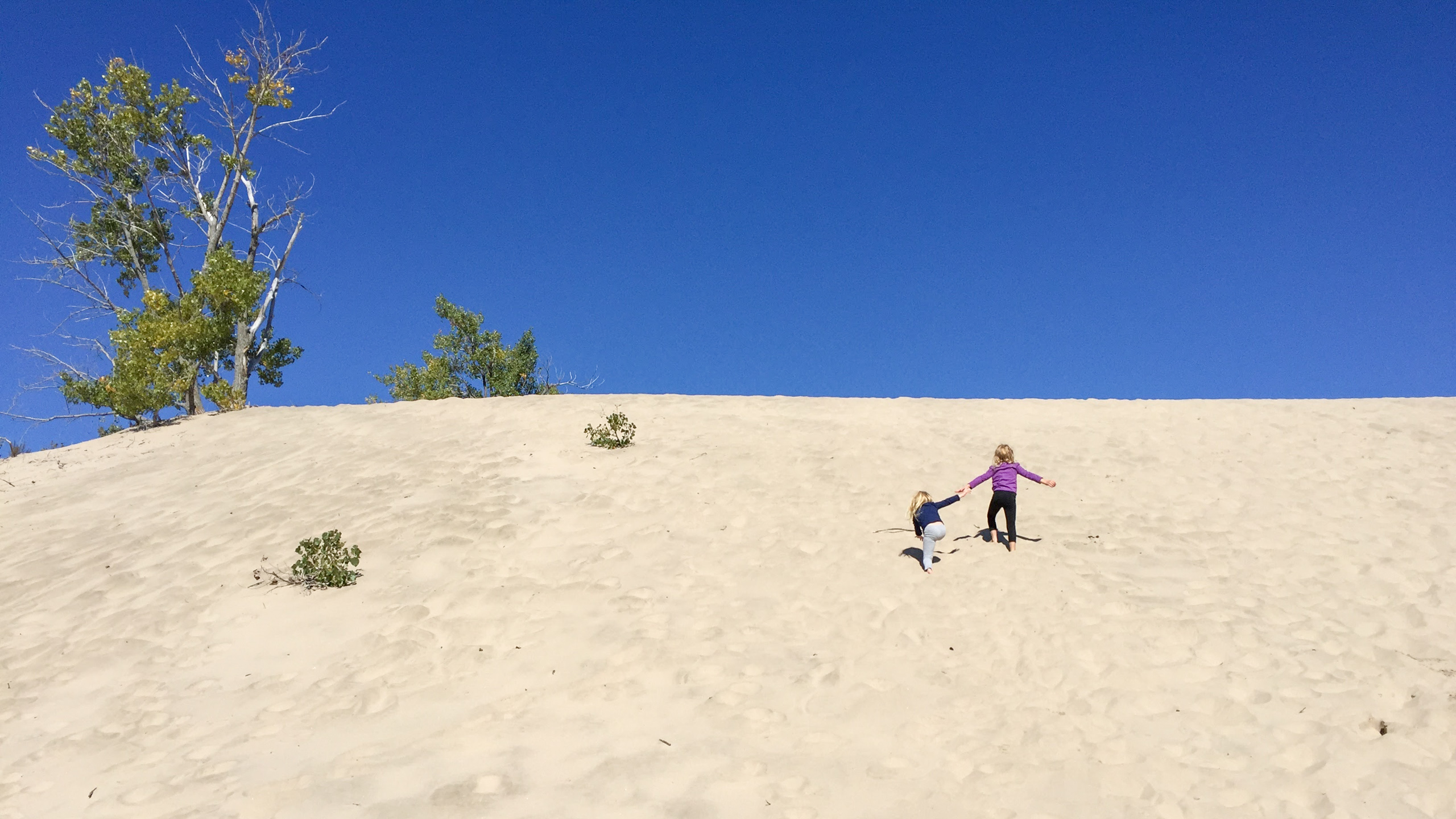 two little girls climbing the sand dunes at sandbanks provincial park